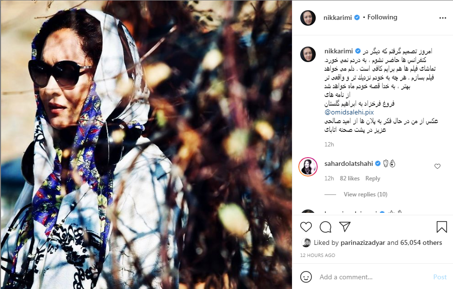 نیکی کریمی