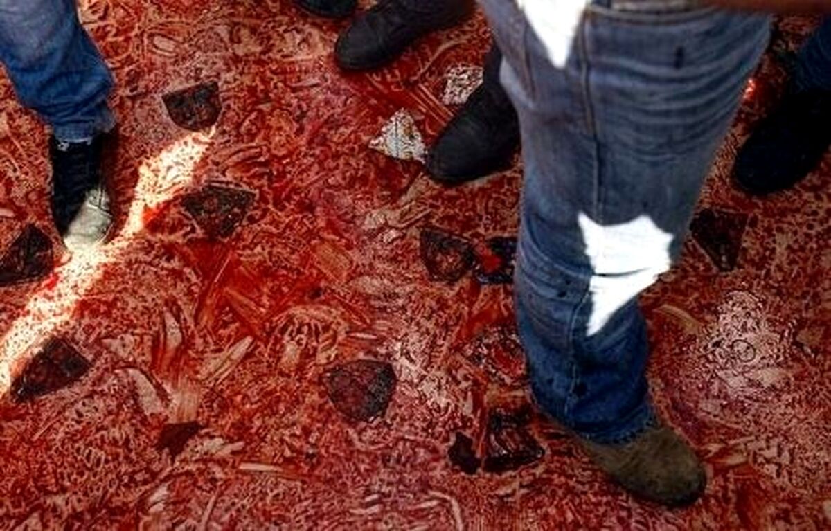 قمه کشی تکان دهنده در رباط کریم + فیلم
