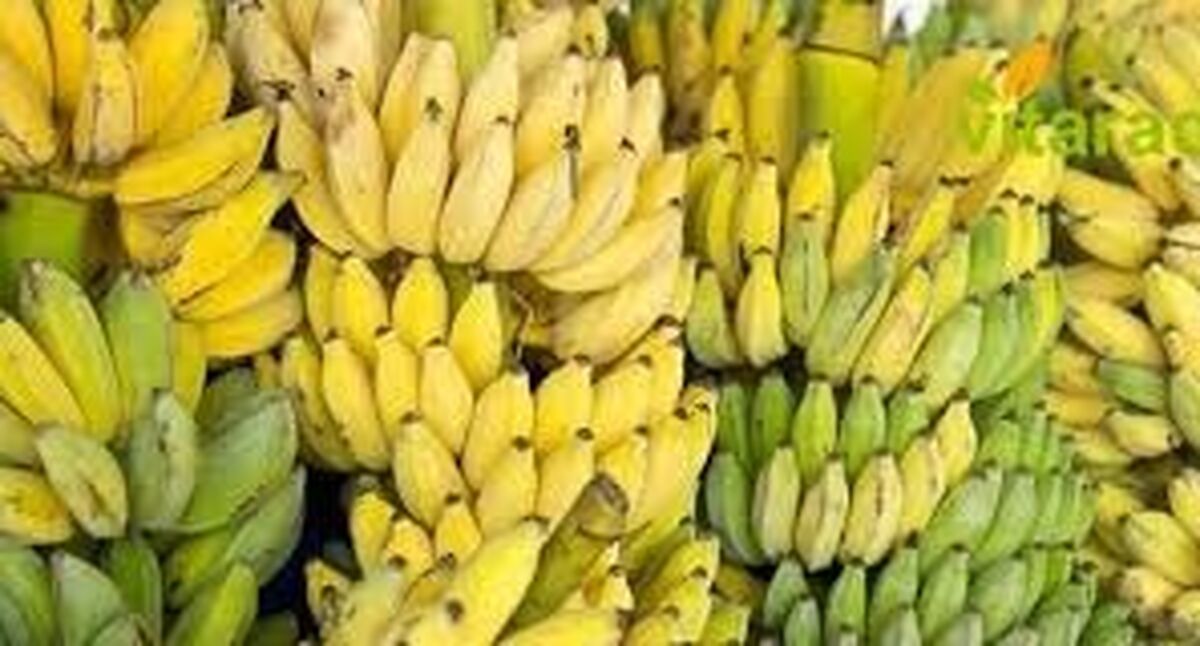 سوء استفاده وارد کنندگان از دلار 40 هزار تومانی | قیمت موز دوباره گران شد