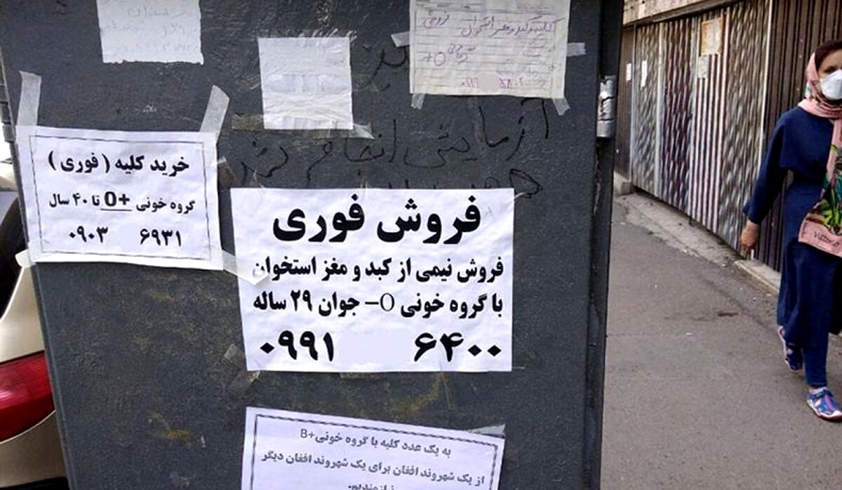 کلیه ایرانی ها در عراق فروخته می شود!