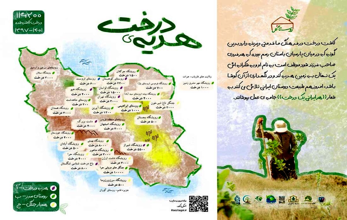 آیا می دانستید میزان زیادی از جنگل‌های ایران از دست رفته است؟