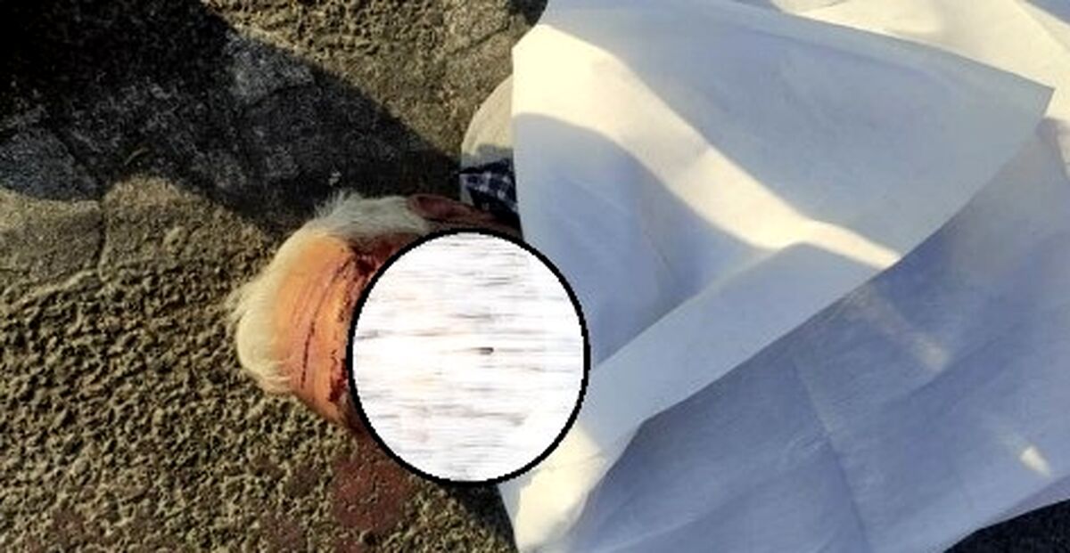 جنازه وحشتناک مرد تهرانی وسط بزرگراه آزادگان