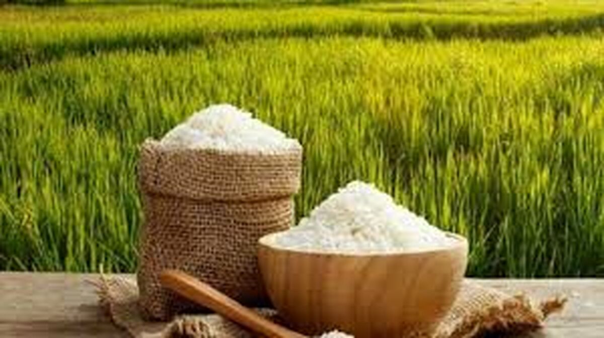 نرخ برنج از ۵۵هزار تومان گذشت+جدول
