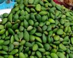 خطر مرگ برای مصرف کنندگان این میوه بهاری