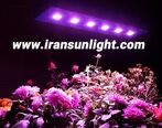 خرید پنل رشد گیاه مارس هایدرو