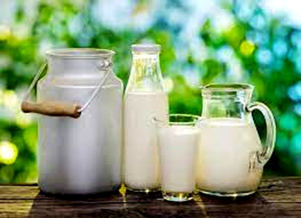 افزایش عجیب قیمت شیر و لبنیات|  علت گرانی قیمت ها چیست؟