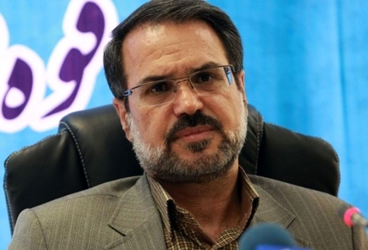 جزئیات پرونده نازنین زاغری از زبان سخنگوی قوه قضاییه