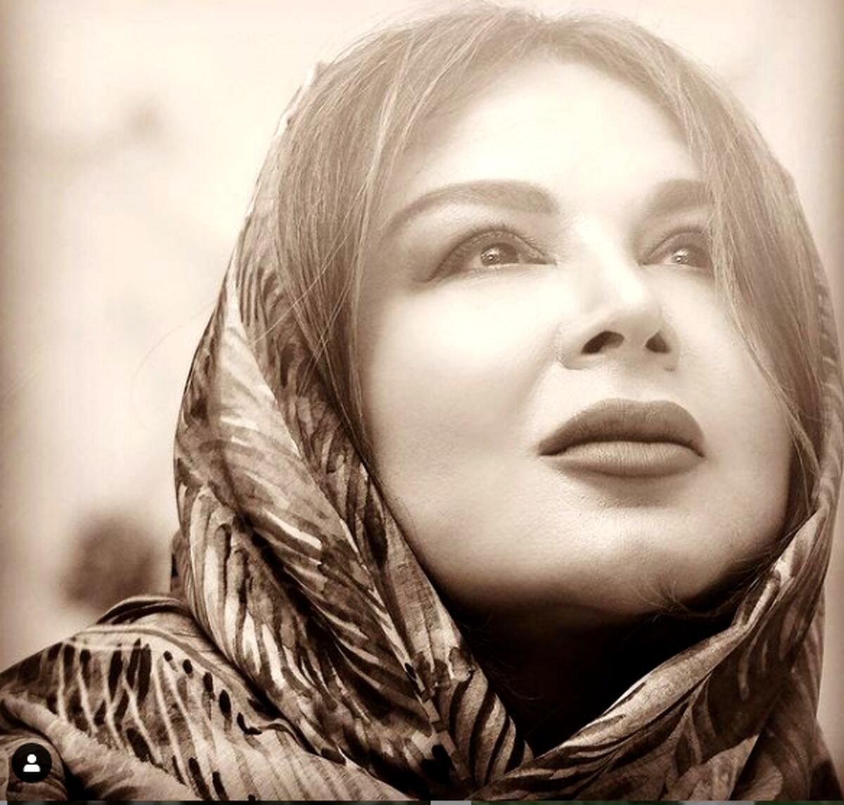 بیوگرافی کامل شهره سلطانی + مصاحبه