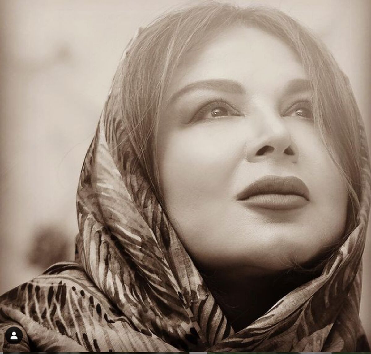 بیوگرافی کامل شهره سلطانی + مصاحبه