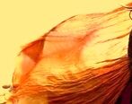 زیبایی بی نظیر آنا نعمتی همسر سوم ابوالفضل پورعرب!+عکس ها