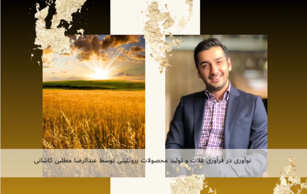 نوآوری در فرآوری غلات و تولید محصولات پروتئینی توسط عبدالرضا مطلبی کاشانی