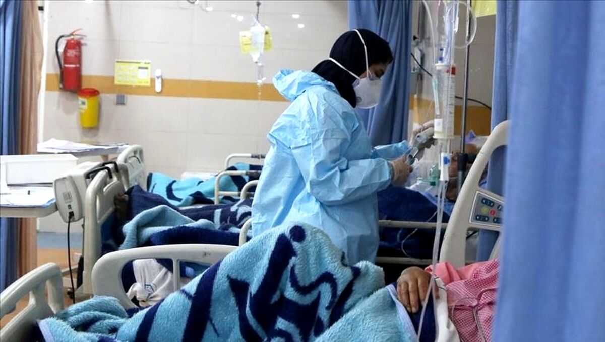   موج ششم کرونا هم از راه رسید؟!