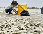 خشکسالی از راه رسید!| زنگ خطر در خوزستان به صدا درآمد
