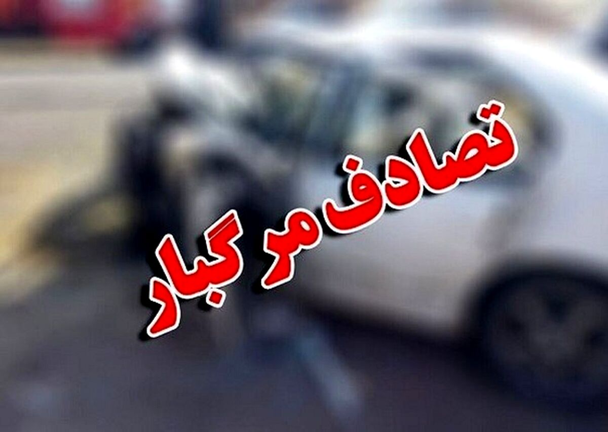 دختر بچه 11 ساله ای که زیر چرخ های این ماشین له شد / حادثه هولناک 