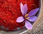 قیمت زعفران سر به فلک کشید