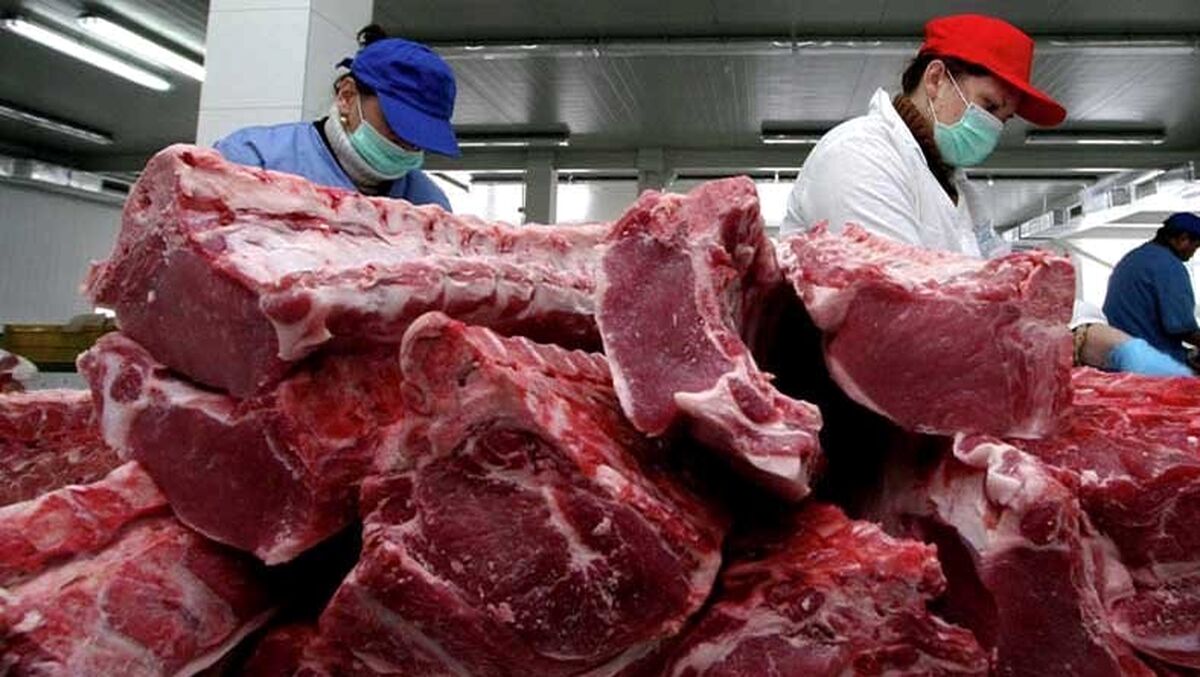 قیمت گوشت قرمز چقدر شد؟| هشدارهای جدی درباره تب کریمه کنگو