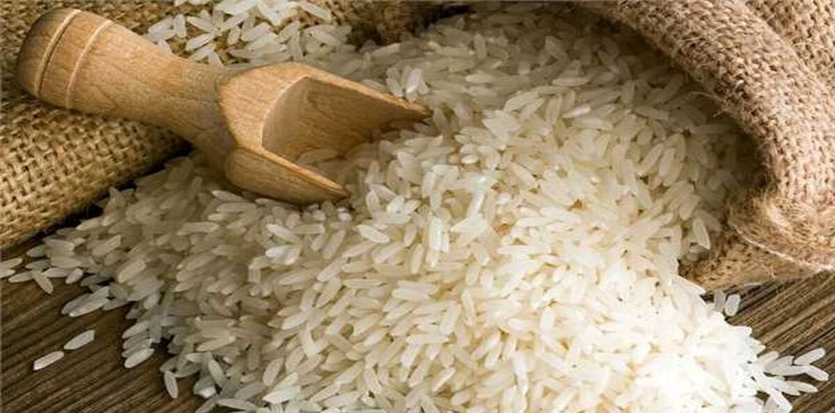 قیمت برنج مصوب اعلام شد| عرضه برن 12 هزار تومانی