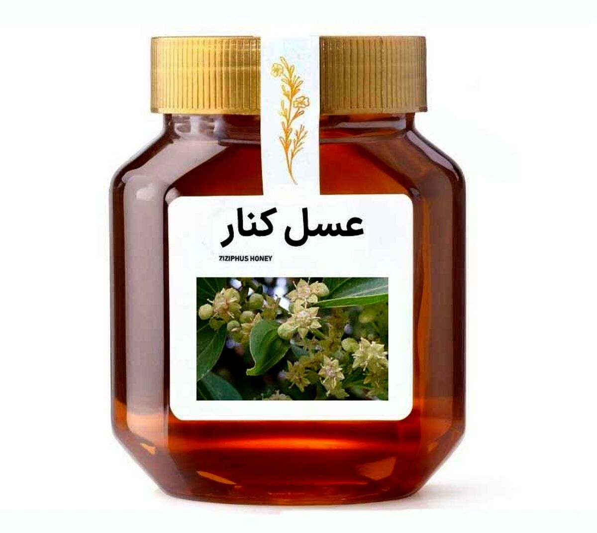 مشخصات و ویژگی های عسل کنار اصل و طبیعی + رنگ و مزه و روش تشخیص