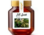مشخصات و ویژگی های عسل کنار اصل و طبیعی + رنگ و مزه و روش تشخیص