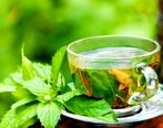خواص باور نکردنی دمنوش پونه در این روز های کرونایی + جزئیات 