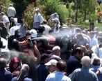 سرنوشت دردناک گروهک تروریستی منافقین در طویله پرورش اسب انور خوجه
