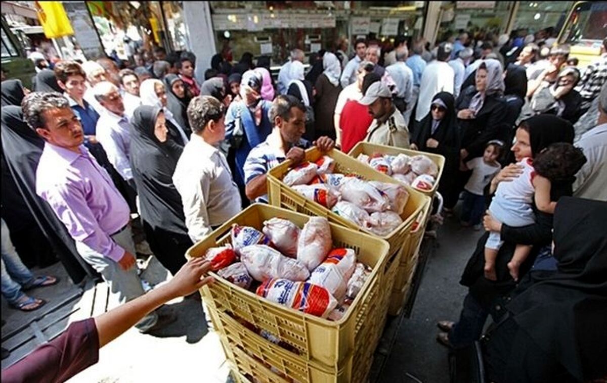 منتظر قیمت مرغ ۴۰هزار تومانی بعد از عید فطر باشید