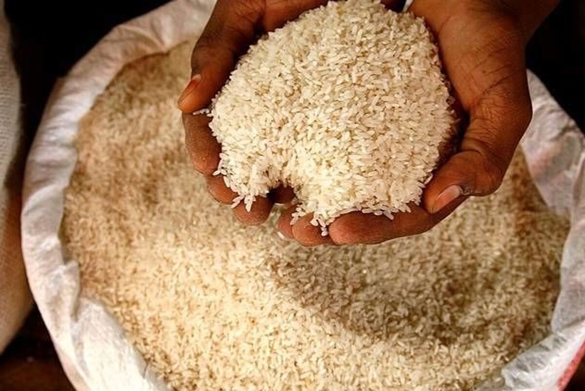 پشت پرده دو موج گرانی قیمت برنج فاش شد