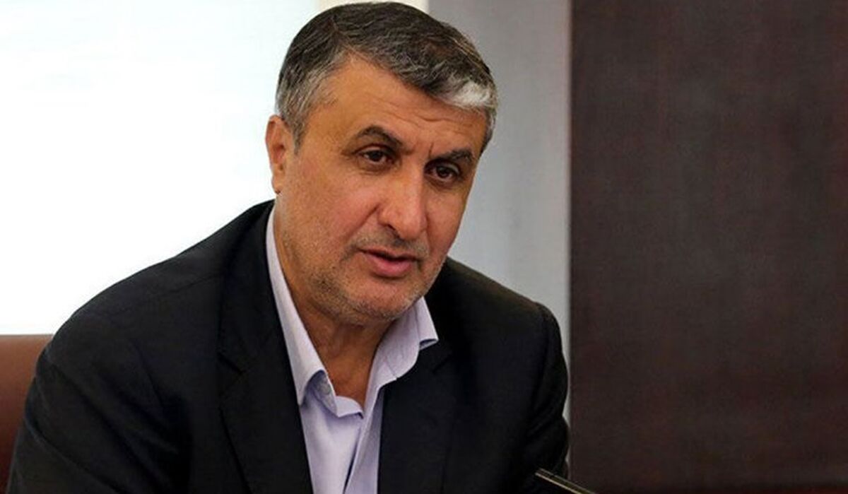 رئیس سازمان انرژی اتمی کشور از روند ساخت و پیشرفت نیروگاه اتمی بوشهر بازدید کرد