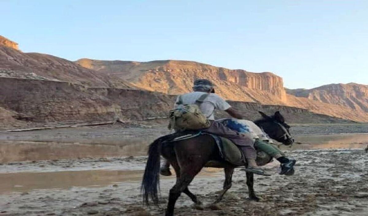 تصویر تکان دهنده از جسد پسر گناوه ای و انتقال به قبر جدید