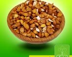 فواید مغز الوک (بادام تلخ)

