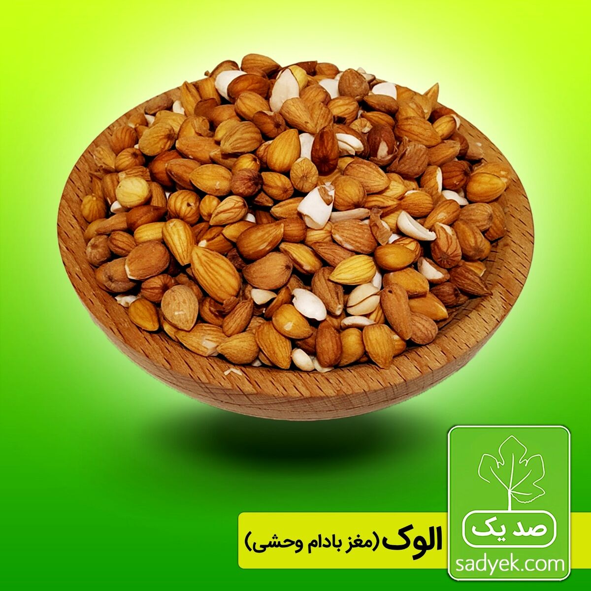 فواید مغز الوک (بادام تلخ)

