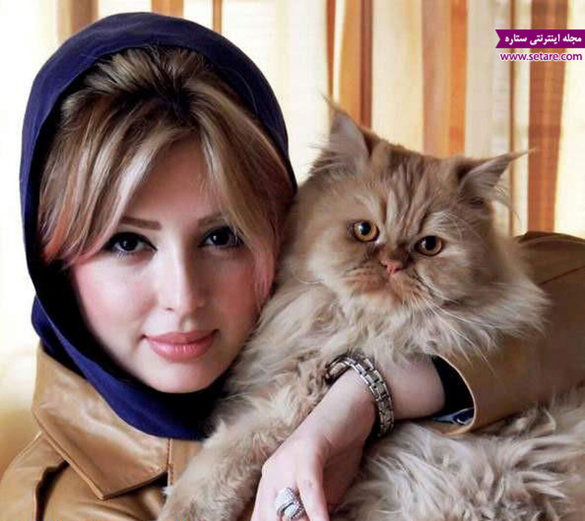 زندگینامه نیوشا ضیغمی