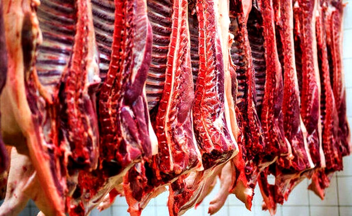 افزایش مجدد قیمت گوشت و مرغ ؟| جدیدترین قیمت گوشت امروز 12 تیر در بازار 