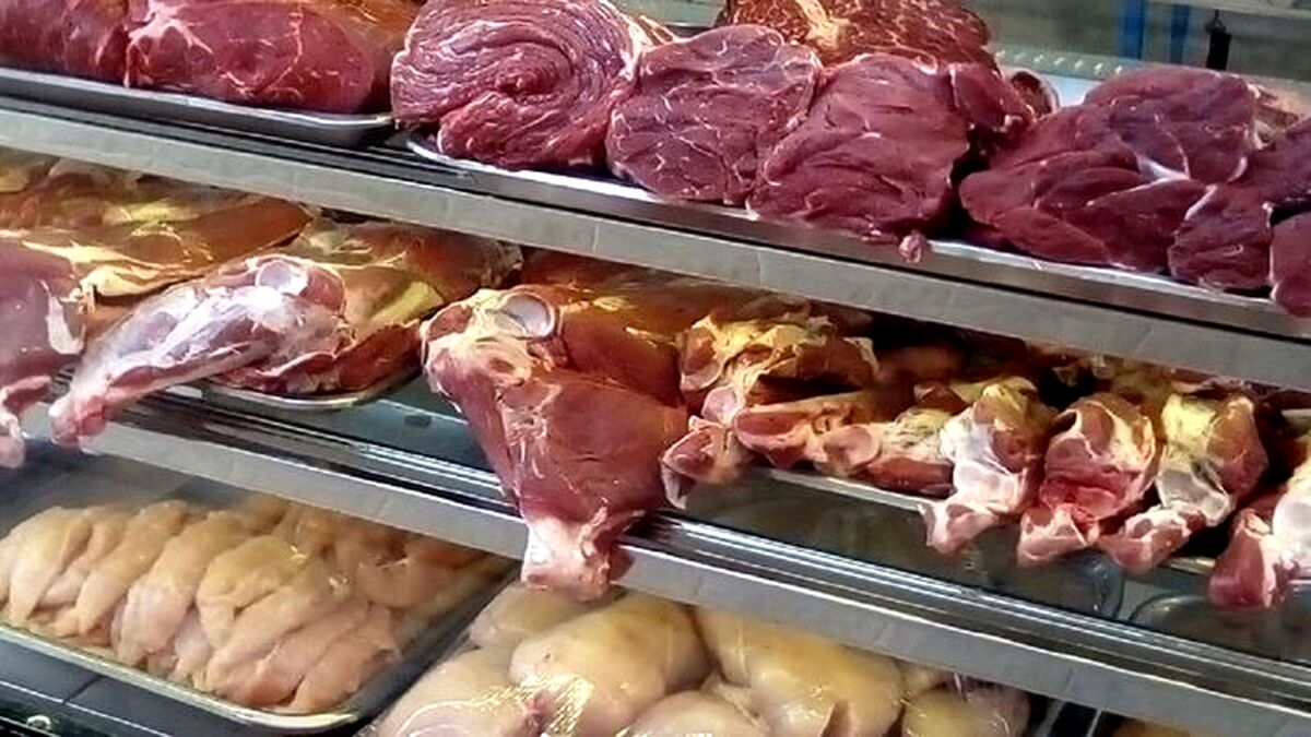 قیمت مرغ و گوشت در داخل دو برابر گران‌تر از وارداتی ها | قیمت مرغ و گوشت ارزان می شود؟