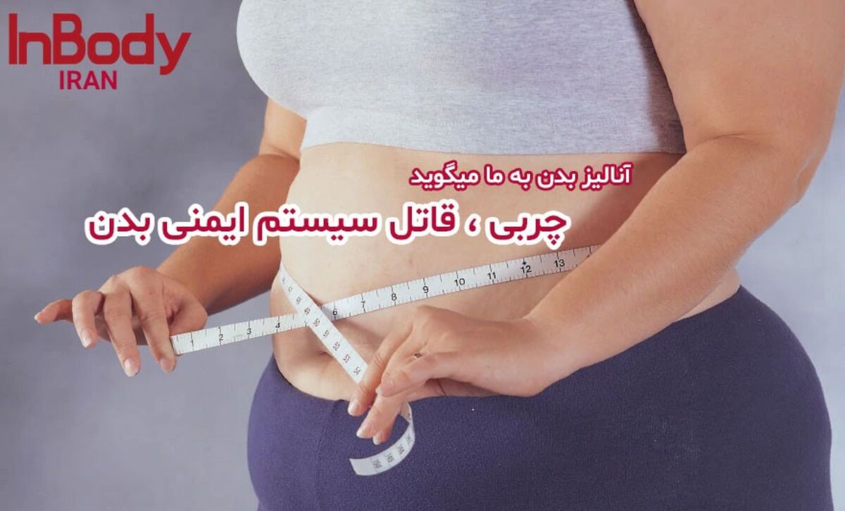 چربی، قاتل سیستم ایمنی بدن