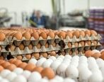 پشت پرده دو نرخی شدن مرغ / توضیح رئیس اتحادیه فروشندگان چه بود؟