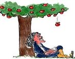 چرا سیب از درخت می افتد؟