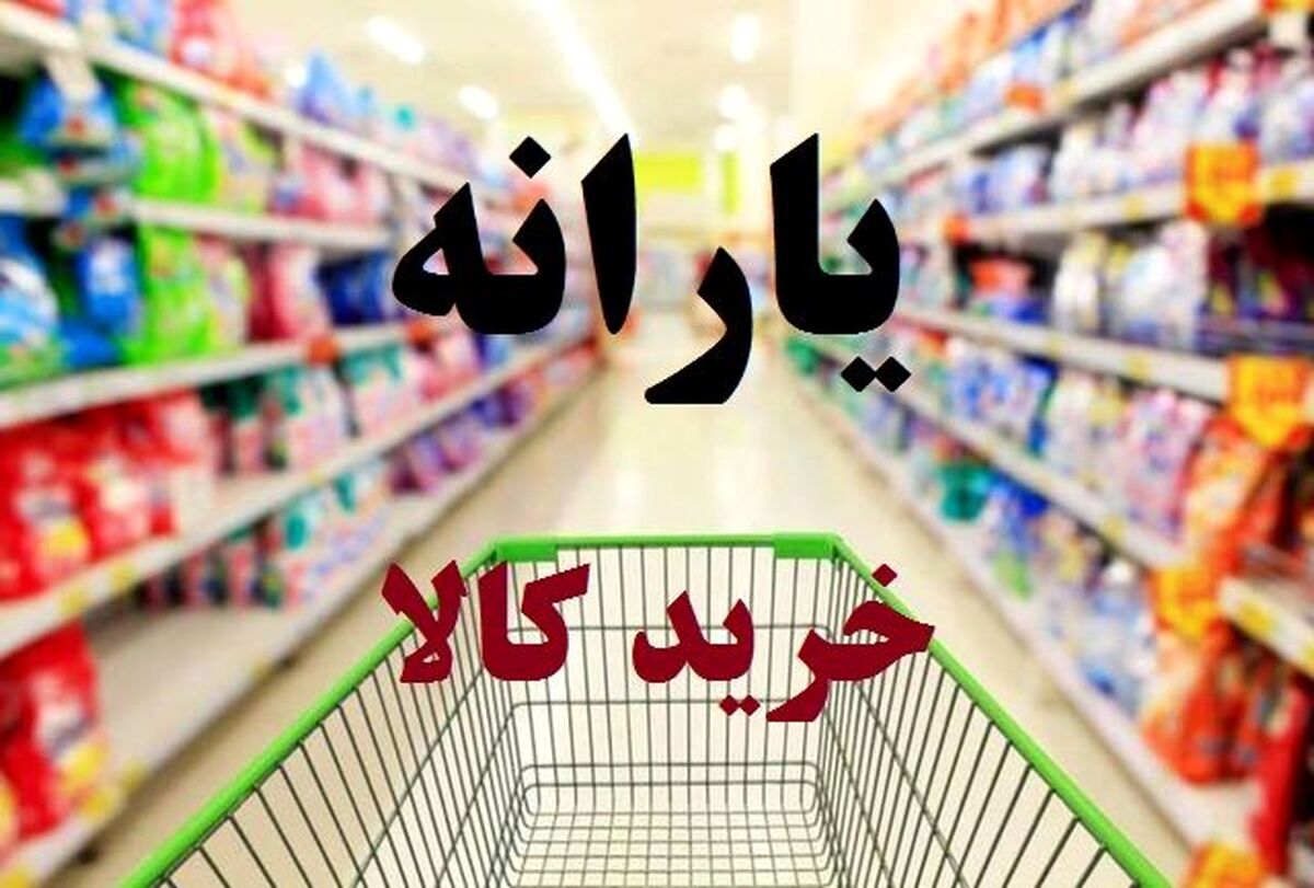 دولت از پرداخت این یارانه ها خودداری کند + جزئیات مهم