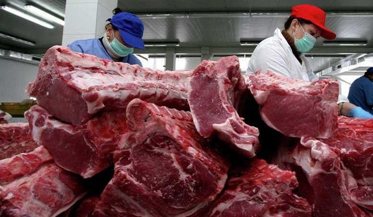 قدرت مافیای بازار گوشت نسبت  به دولت| قیمتگوشت امروز 25 فروردین چقدر شد؟