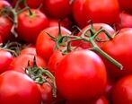 قیمت پیاز و گوجه بالا رفت | علت گرانی پیاز نسبت به هفته های گذشته