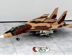  هواپیمای شکاری رهگیری F14 بعد از 18 سال پرواز کرد+ ویدئو