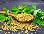 این گیاه درمانی عالی برای پیشگیری از موخوره و ریزش مو
