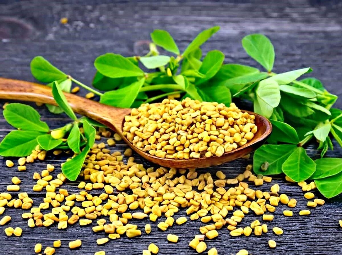 این گیاه درمانی عالی برای پیشگیری از موخوره و ریزش مو