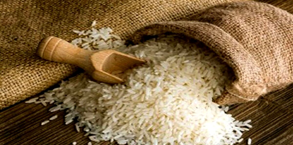 قیمت برنج شدیدا افزایش یافت