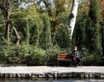 مزایای بازنشستگی تامین اجتماعی