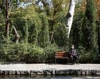 متناسب سازی حقوق بازنشستگان به نتیجه قطعی رسید | کنایه های تند جمهوری اسلامی به بانیان 5 ماه دلهره و نگرانی برای بازنشستگان