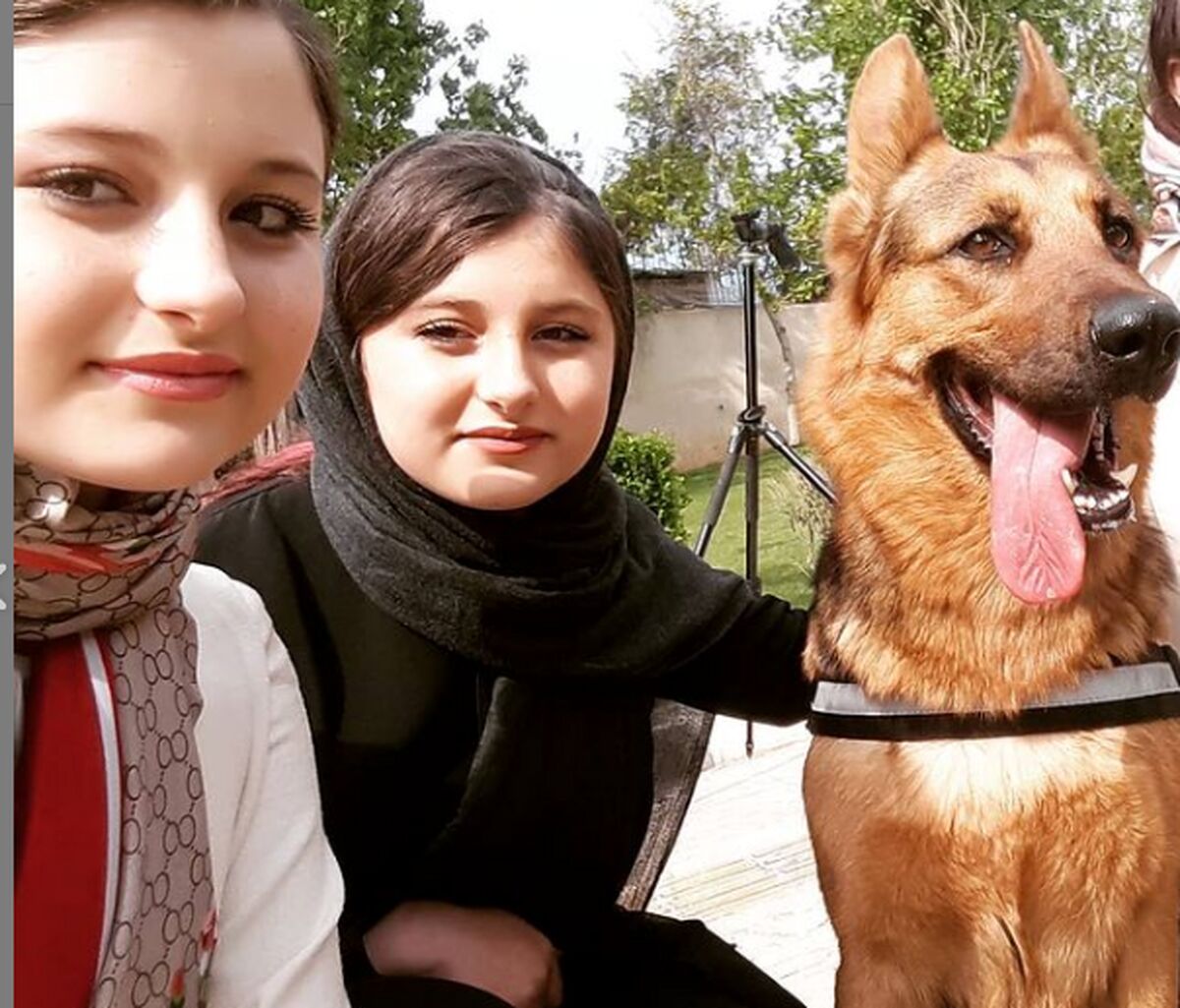 زندگی نامه سارا و نیکا