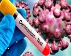 واکسن کرونا / ویروس کرونای انگلیسی چه تفاوتی دارد؟