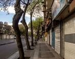 علیرضا زالی از برداشتن برخی محدودیت های کرونایی هشدار داد + جزئیات 